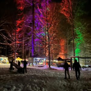 Vorweihnachtlicher Zauberwald